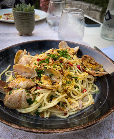 Gastro 4