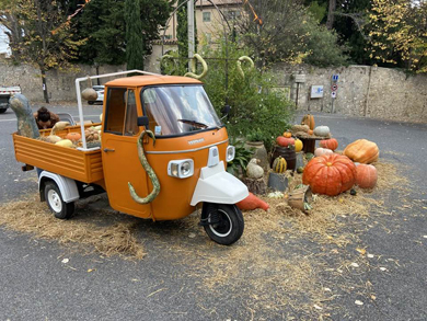 K 561743331 4220203121579357 4604447629316862862 n