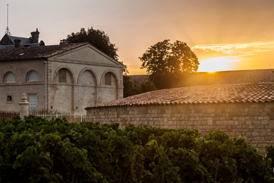 VT Chateau Mouton Rothschild fronton credit photo Pierre Revelle