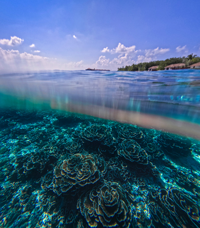 V Noku Maldives Conservation